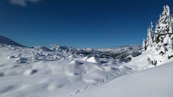 Finally on the plateau now