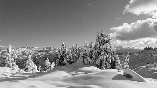 I love those snow covered trees!!