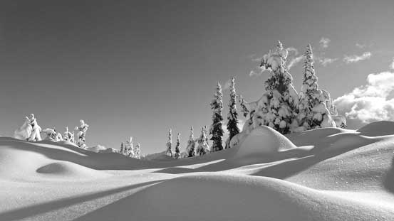 Can't get rid of the views