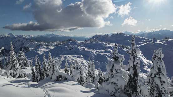 More winter wonderland!