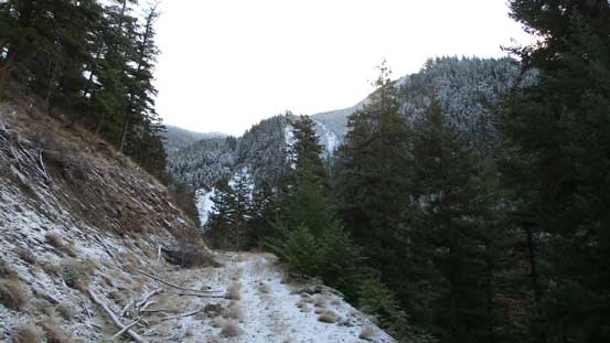 Following the logging road up, we started to encounter snow