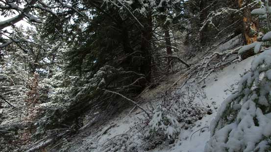 Time to head up through the forest