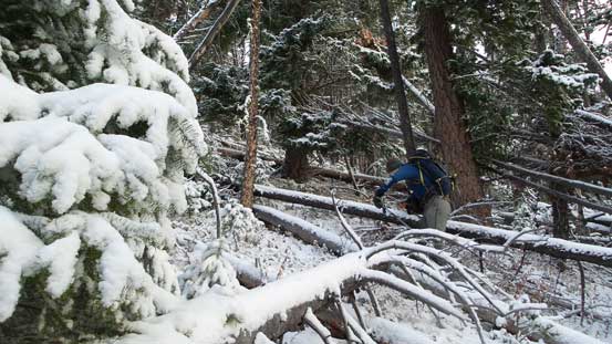Alex hopping over one of the many, many dead falls