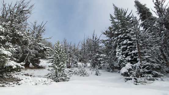 Still a bit of ways to hit the ridge