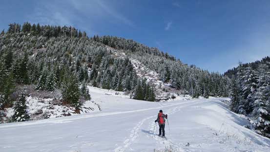 Snowshoeing