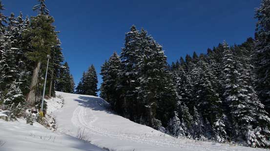 Here we took a short-cut