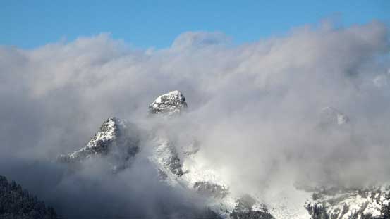 More about the Lions