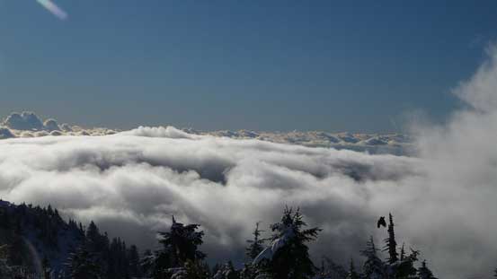 Temporary low clouds inversion scenery