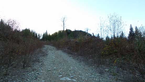 Some views from Hanson Creek Road