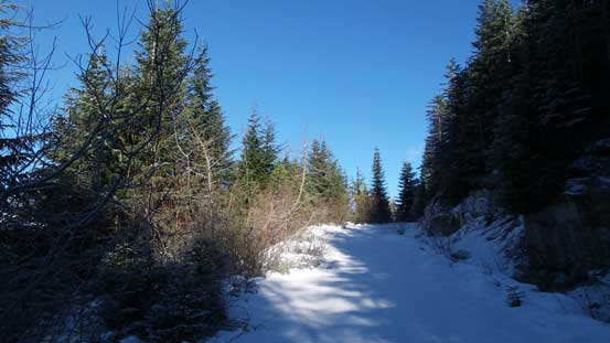 One of the many ditches