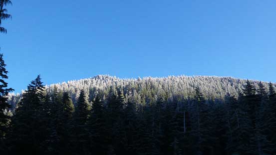Could see the ridge and the summit from here.