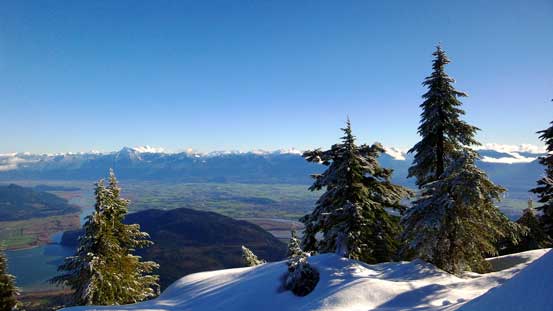 One last view of Fraser Valley before dropping into the forest