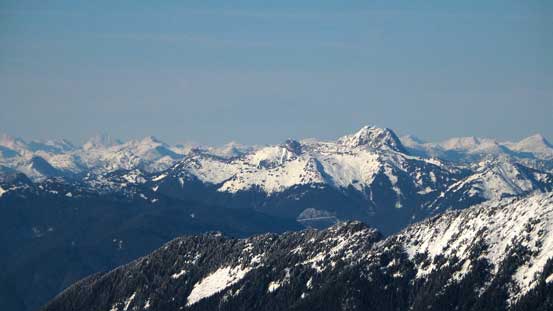 The Old Settlers - apparently has a very very bushy approach now.