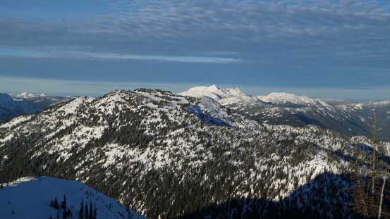 Silverdaisy Mountain is that broad forested summit