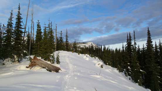 At the col now, looking ahead