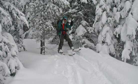 Tree skiing... Photo by Alex