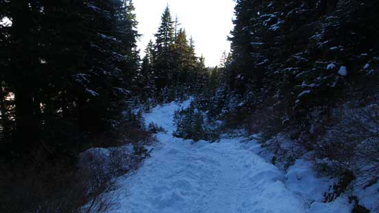 Hiking up the packed Seymour Trail