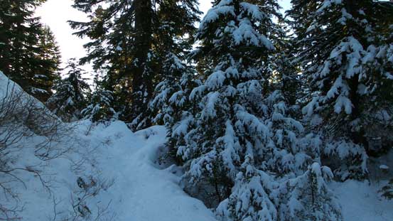 The Dinkey Peak Trail