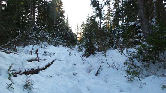 Hiking along the Dog Mountain Trail