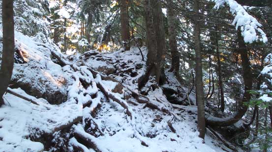 Sections of this trail was slippery