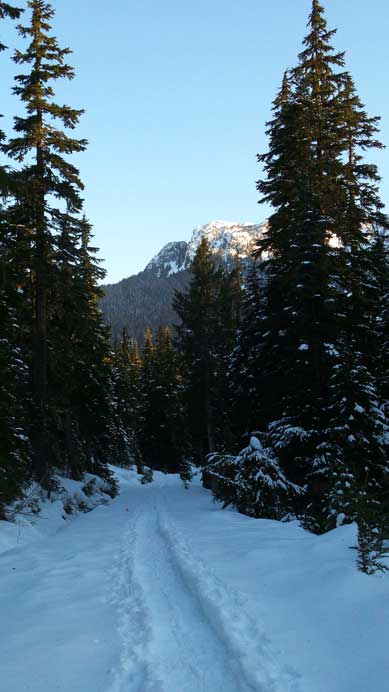 The snowshoe trail was packed down