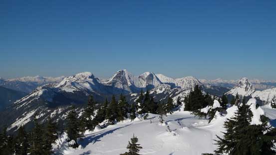 The Anderson River Group - Gamuza, Steinbok, Ibex, Chamois, etc..