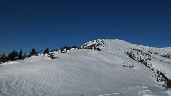 From bump/Llama col, looking ahead