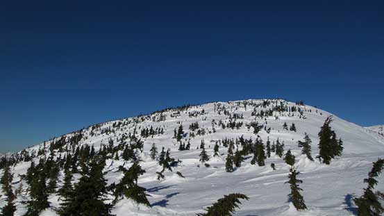 Almost on the summit of Llama Peak