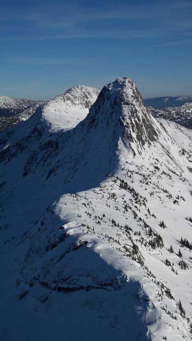 Vicuna & Guanaco and the connecting ridge