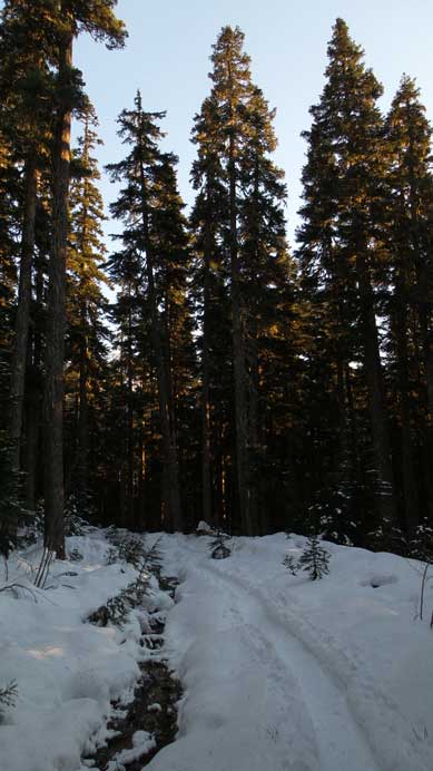 Back to the road slog