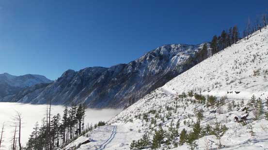 Following the logging road up. Lots of switchbacks