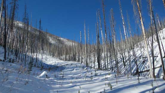 Keep following the road even though it's getting a bit overgrown 