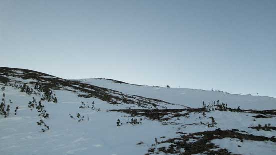 Above treeline we could just travel on scree. 