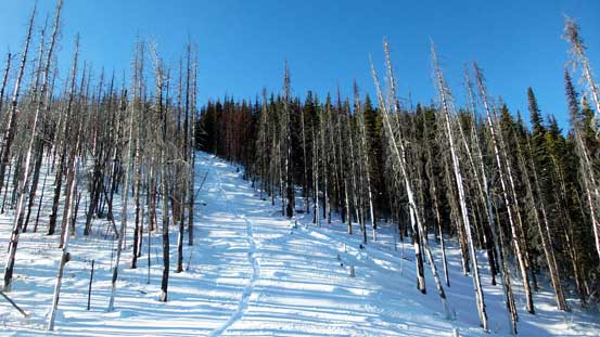 Looking back at the upper portion of this cut block
