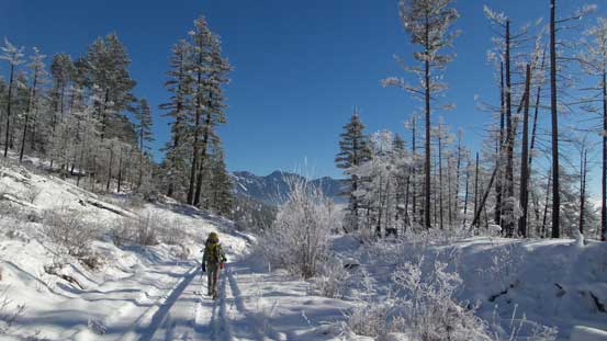 Below the freezing layer now. Note the frost
