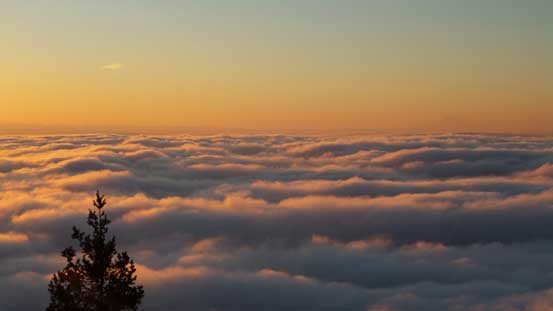 Now I couldn't see Mt. Rainier anymore as it's getting a bit hazy on the horizon