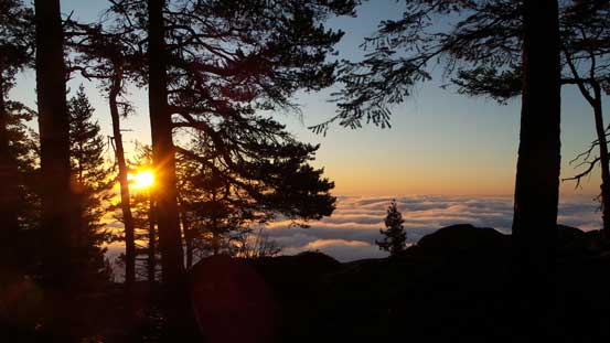 One last picture of the sunrise