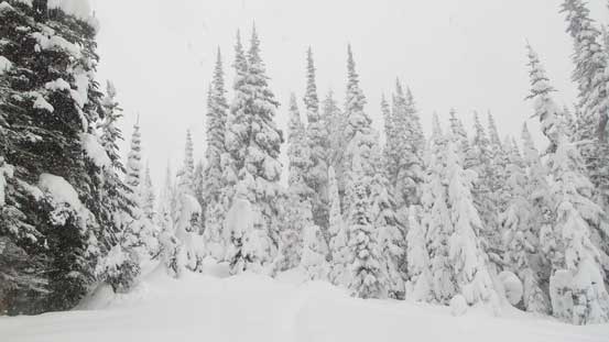 The typical terrain and scenery