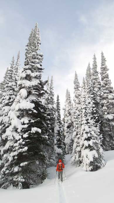 There's some brief blue sky showing up