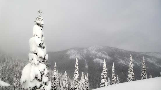 This was as much of the views we got... 