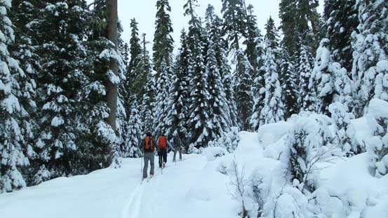 Skinning up the Ottomite Road