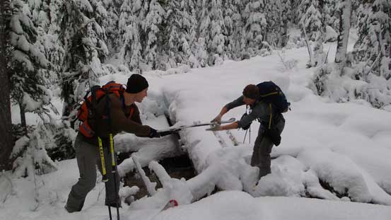 Crossing the tricky creek