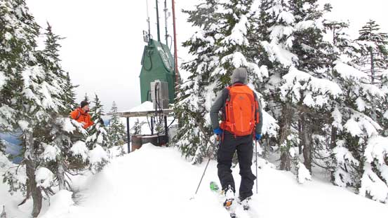 The summit of Great Bear Peak...