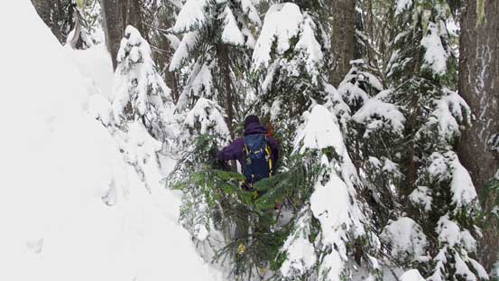 Now, into the bush...