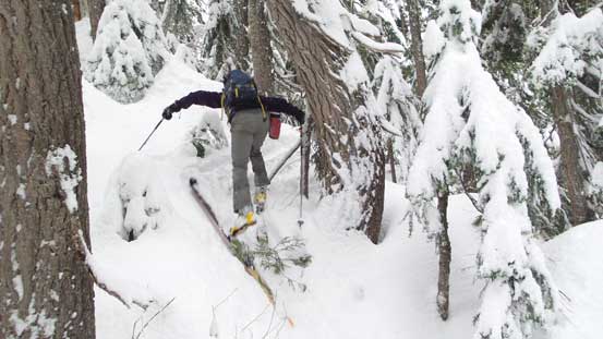 Not very fun around here...