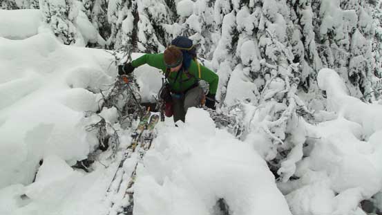 This is the first major dead-fall...