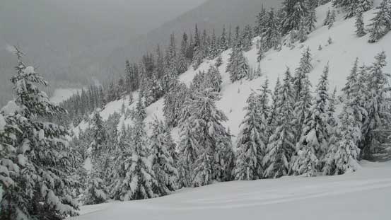 Looking down at the gully that we'd descend