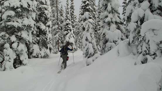 Near the end of this road