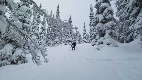 Near the entrance of that gully