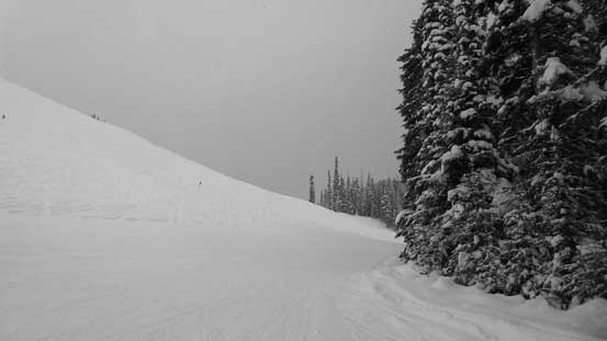 Skinning up the ski hills